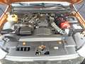 Ford Ranger Wildtrak RAPTOR DoKa 4x4 EYECATCHER Gris - thumbnail 25