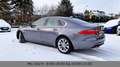 Jaguar XF Prestige Leder Xenon LED Gris - thumbnail 3
