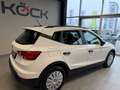 SEAT Arona Reference TSI Austria Edition Weiß - thumbnail 5