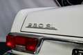 Mercedes-Benz SL 250 Pagode SL250 *100000 Wertgutachten* Blanc - thumbnail 8
