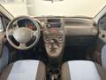 Fiat Panda Panda 1.2 Dynamic eco Blu/Azzurro - thumbnail 12