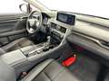 Lexus RX 450h PRIVILIEGE LINE & ROOF & CARPL Rouge - thumbnail 6