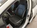 Ford Focus 1.5 EcoBlue 120 CV SW Co-Pilot auto AUTOCARRO N1 Weiß - thumbnail 4