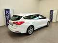 Ford Focus 1.5 EcoBlue 120 CV SW Co-Pilot auto AUTOCARRO N1 Weiß - thumbnail 8