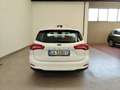 Ford Focus 1.5 EcoBlue 120 CV SW Co-Pilot auto AUTOCARRO N1 Weiß - thumbnail 38