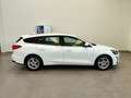 Ford Focus 1.5 EcoBlue 120 CV SW Co-Pilot auto AUTOCARRO N1 Weiß - thumbnail 37