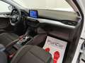 Ford Focus 1.5 EcoBlue 120 CV SW Co-Pilot auto AUTOCARRO N1 Weiß - thumbnail 34
