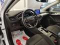 Ford Focus 1.5 EcoBlue 120 CV SW Co-Pilot auto AUTOCARRO N1 Weiß - thumbnail 35