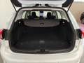 Ford Focus 1.5 EcoBlue 120 CV SW Co-Pilot auto AUTOCARRO N1 Weiß - thumbnail 45