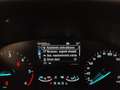 Ford Focus 1.5 EcoBlue 120 CV SW Co-Pilot auto AUTOCARRO N1 Weiß - thumbnail 24