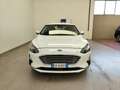 Ford Focus 1.5 EcoBlue 120 CV SW Co-Pilot auto AUTOCARRO N1 Weiß - thumbnail 36