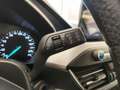 Ford Focus 1.5 EcoBlue 120 CV SW Co-Pilot auto AUTOCARRO N1 Weiß - thumbnail 19