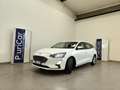 Ford Focus 1.5 EcoBlue 120 CV SW Co-Pilot auto AUTOCARRO N1 Weiß - thumbnail 42