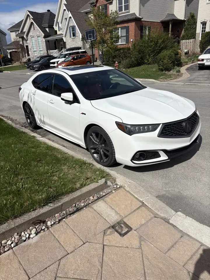   TLX