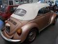 Volkswagen Maggiolino Maggiolino 1.2 CABIOLET Bronze - thumbnail 5