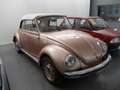 Volkswagen Maggiolino Maggiolino 1.2 CABIOLET Bronze - thumbnail 2