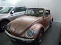 Volkswagen Maggiolino Maggiolino 1.2 CABIOLET Bronze - thumbnail 1