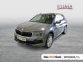 Skoda Kamiq Selection TSI ACT DSG Grau - thumbnail 1