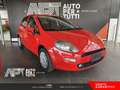 Fiat Punto Punto 1.2 Street 5p E6 Rojo - thumbnail 2