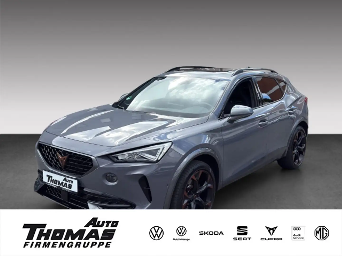 CUPRA Formentor VZ 2.0 TSI DSG AHK+PANO+BEATS Gris - 1
