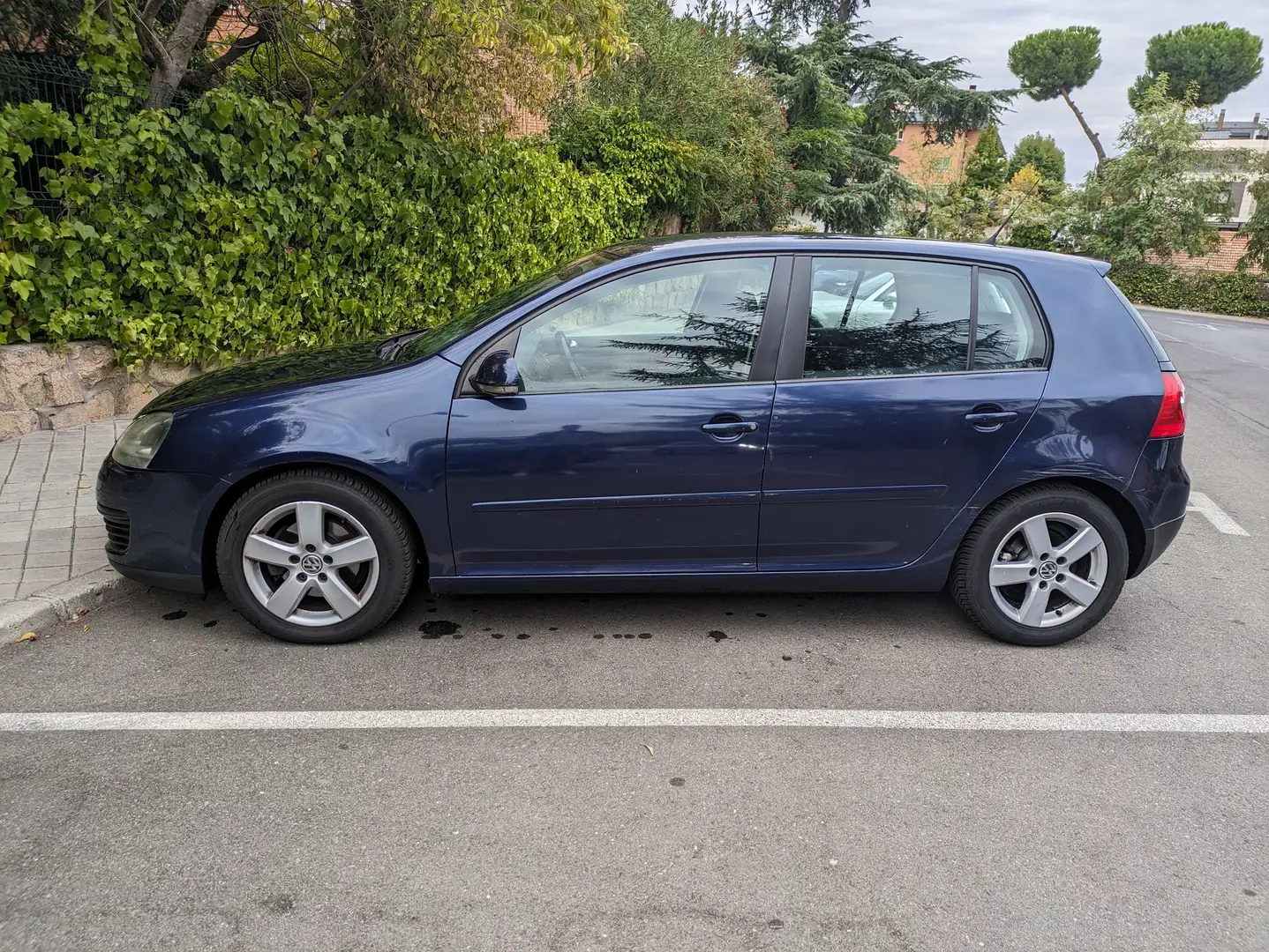 Volkswagen Golf Golf 1.9TDI Sportline 105 Sportline Azul - 1