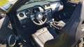Ford Mustang Shelby GT500 SVT Cabrio Schwarz - thumbnail 8