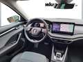 Skoda Octavia Combi*Exclusive*2.0*TDI*110 kW* Schwarz - thumbnail 15