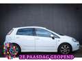 Fiat Punto Evo 0.9 TwinAir Lounge Paasprijs 4.950,- Blanco - thumbnail 1