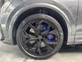 Audi RS Q8 TFSI quattro tiptronic Gris - thumbnail 10
