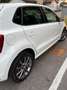 Volkswagen Polo Polo V 2014 5p 1.4 tdi bm Fresh 90cv dsg Bianco - thumbnail 2