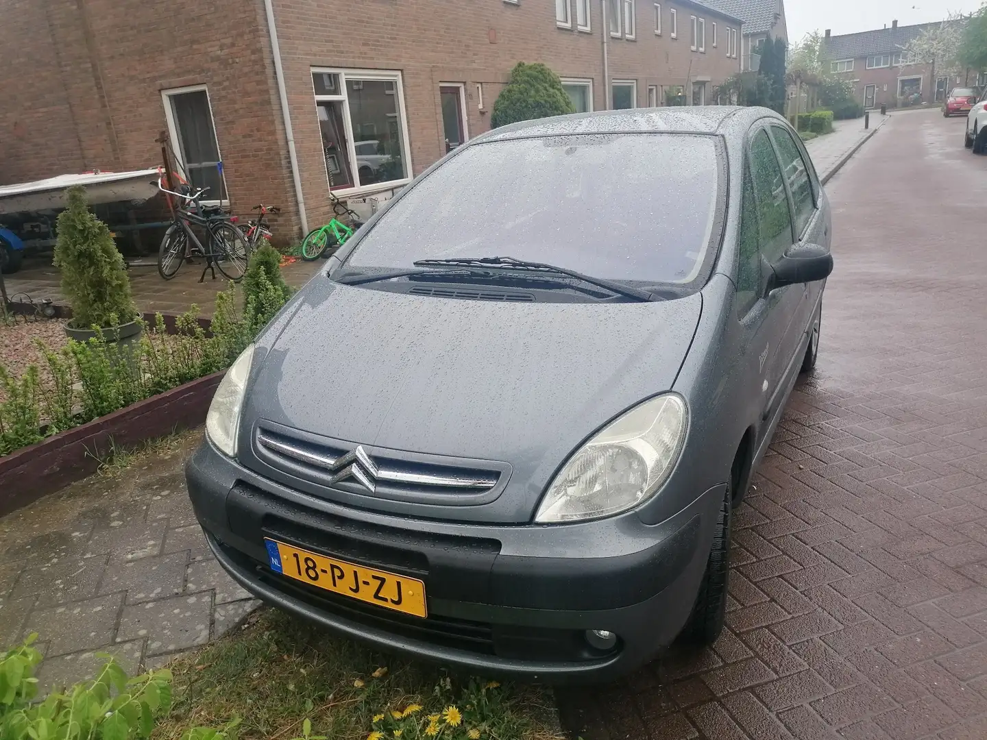 Citroen Xsara Picasso 1.8i-16V Gris - 1