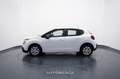 Citroen C3 1.2 PureTech 83cv S&S Business Bianco - thumbnail 3