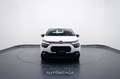 Citroen C3 1.2 PureTech 83cv S&S Business Bianco - thumbnail 2