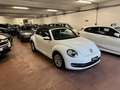 Volkswagen Maggiolino Maggiolino Cabrio 2.0 tdi bm Design 110cv Bianco - thumbnail 3