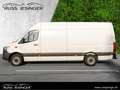 Mercedes-Benz Sprinter 315 CDI Maxi *Klima*Navi*360°*Schwingsi Blanc - thumbnail 3