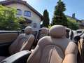 Mercedes-Benz CLK 200 Cabrio Kompressor*SH*AC-A*PDC* Schwarz - thumbnail 18