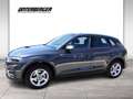 Audi Q5 50TFSI e PHEV quattro RFK Parkassistent PDC Grau - thumbnail 4