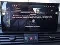 Audi Q5 50TFSI e PHEV quattro RFK Parkassistent PDC Grau - thumbnail 22