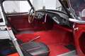 Austin-Healey 100 100/6 Schwarz - thumbnail 14