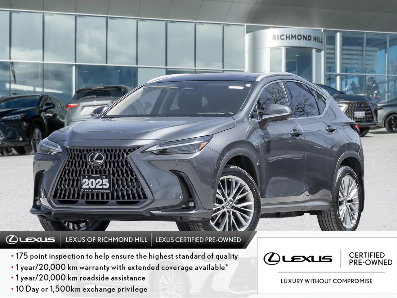 2026 Lexus NX