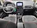 Ford EcoSport 1.0 EcoBoost 125 CV Start&Stop ST-Line Grigio - thumbnail 9