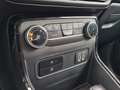 Ford EcoSport 1.0 EcoBoost 125 CV Start&Stop ST-Line Grigio - thumbnail 13