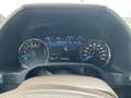 Ford F 150 FORD 3.5 V6 LPG AWD Pano Trekhaak Leder Stoelverw+ Zwart - thumbnail 33