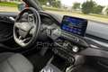 Ford Focus Focus 1.5 EcoBlue 120 CV 5p. ST-Line Rojo - thumbnail 12