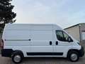 Peugeot Boxer Kasten Hochraum 335 L2H2 Premium BlueHDi Weiß - thumbnail 6