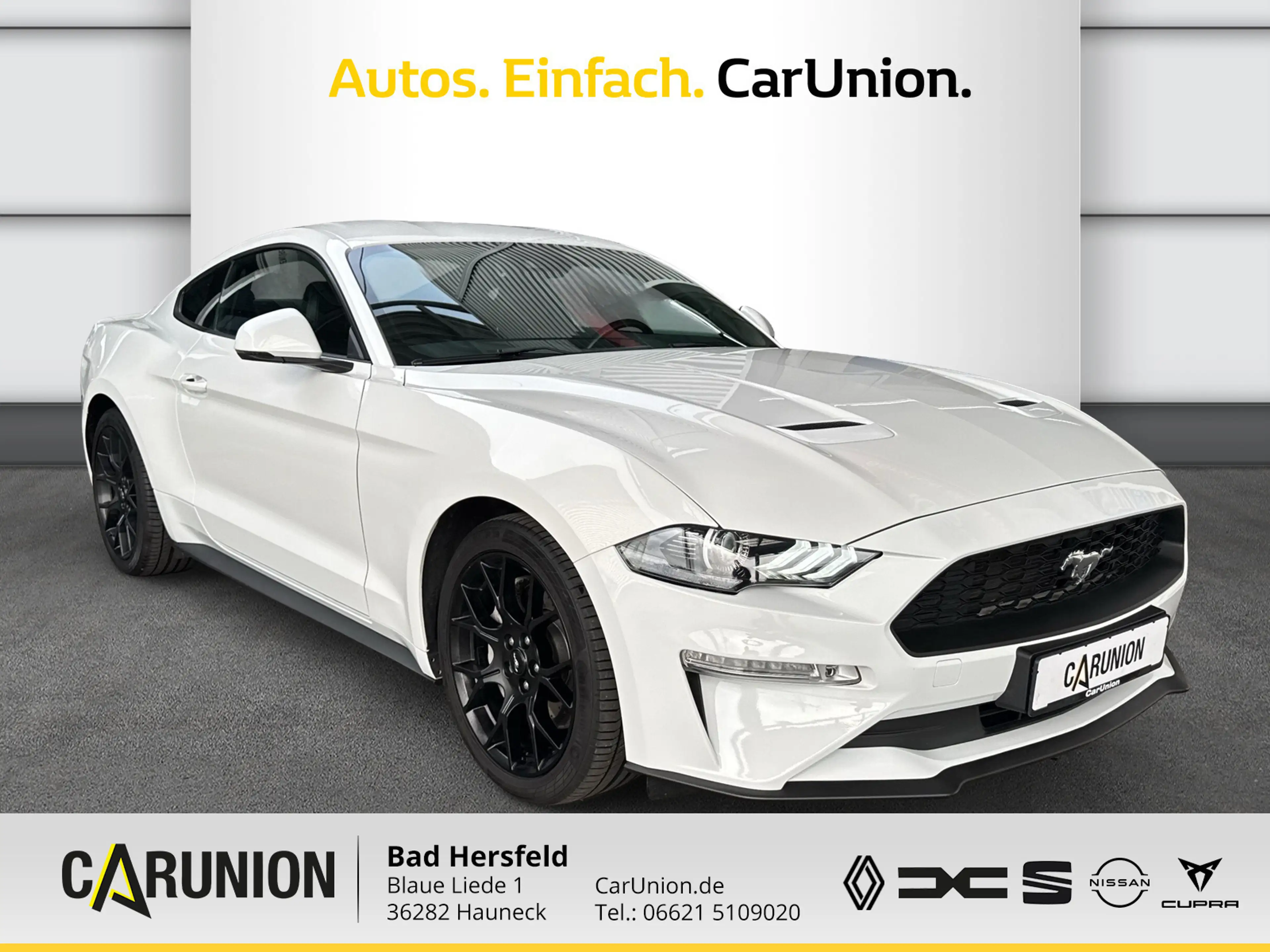 Ford Mustang Fastback 2.3 EcoBoost Winter-Sommerreif. — photo 3