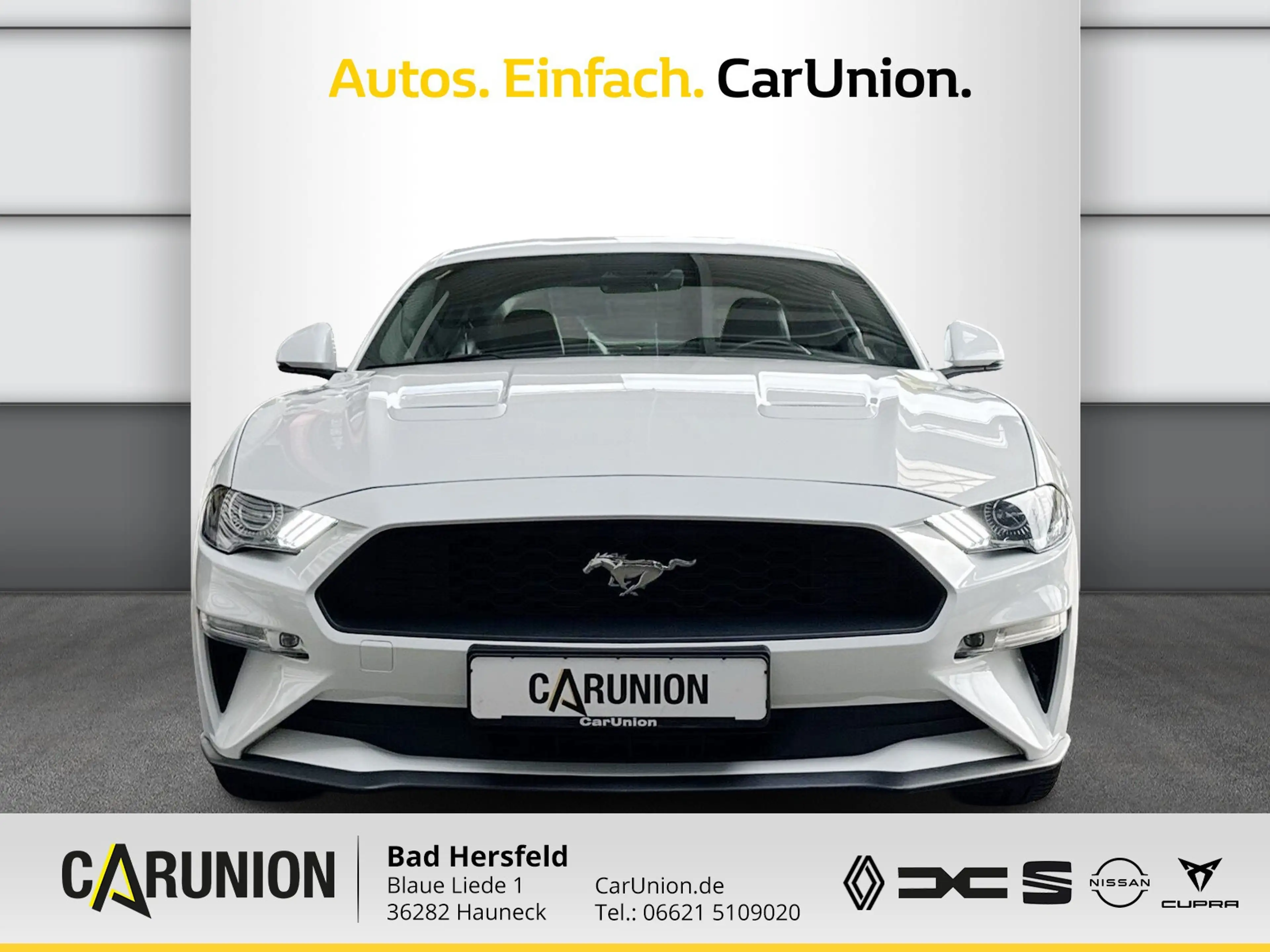 Ford Mustang Fastback 2.3 EcoBoost Winter-Sommerreif. — photo 2