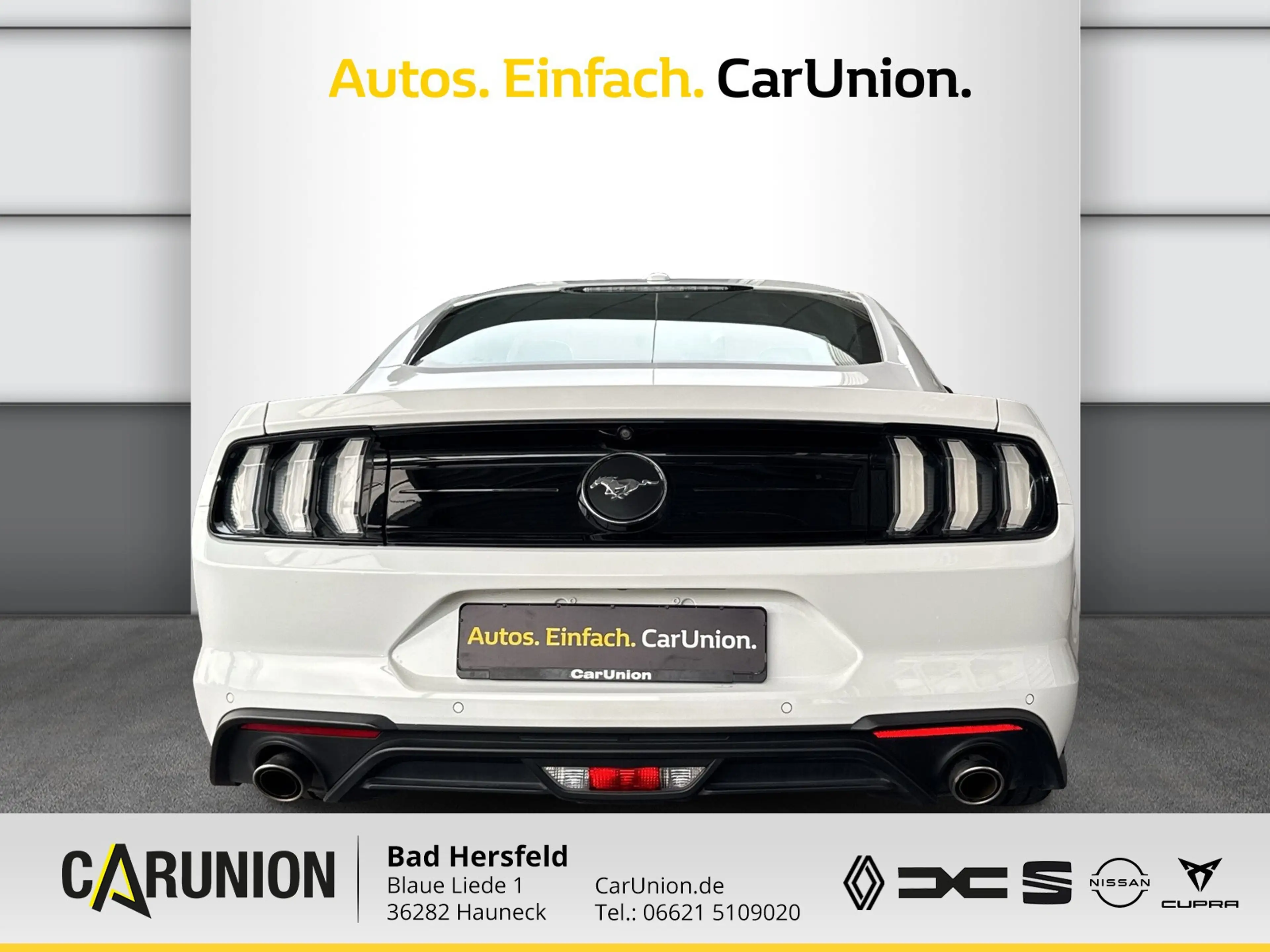 Ford Mustang Fastback 2.3 EcoBoost Winter-Sommerreif. — photo 5