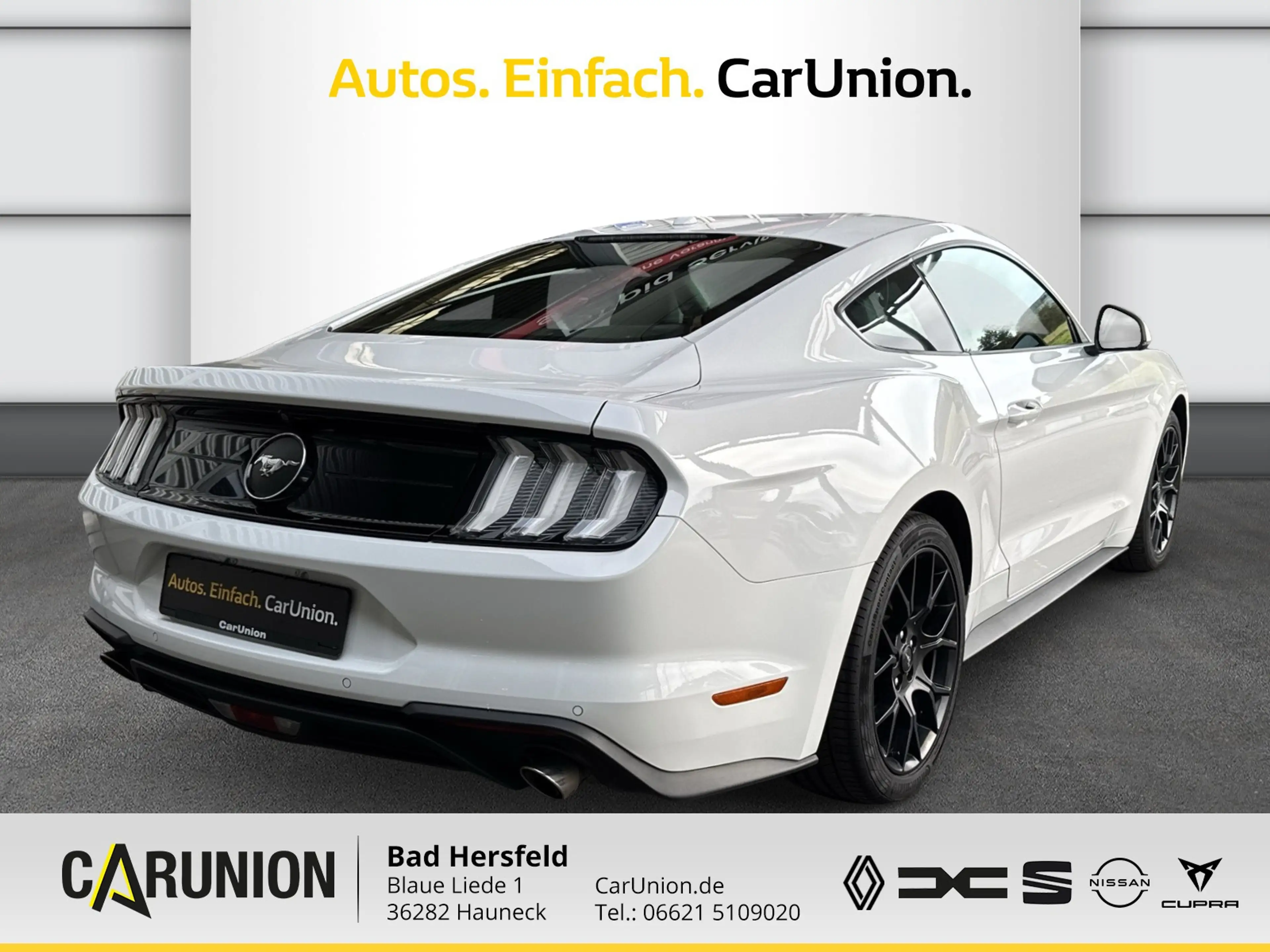 Ford Mustang Fastback 2.3 EcoBoost Winter-Sommerreif. — photo 4