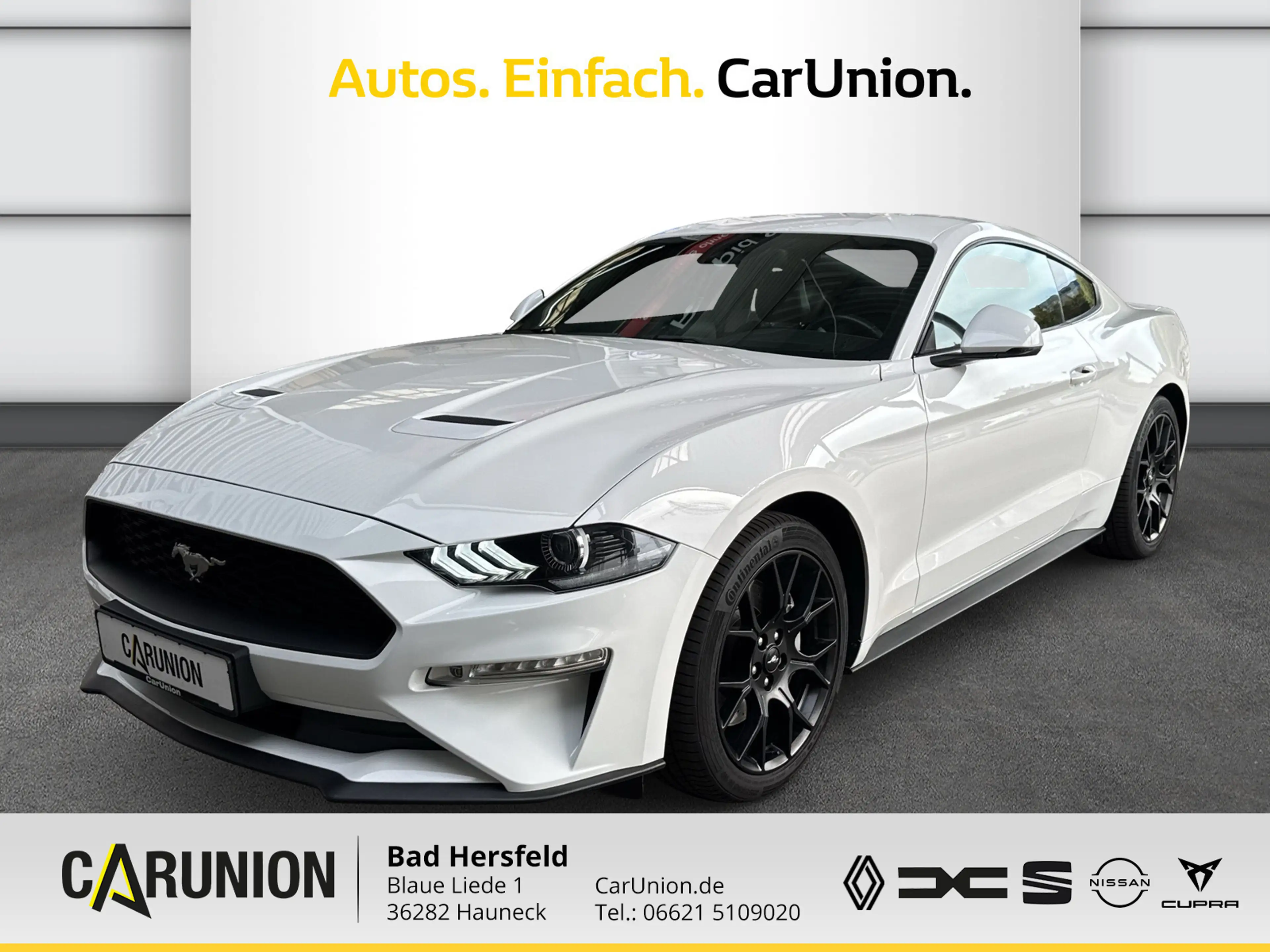Ford Mustang Fastback 2.3 EcoBoost Winter-Sommerreif.